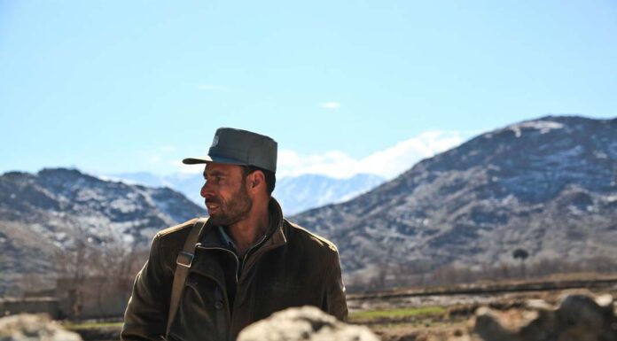 Who Should Pay for Prison Beds?