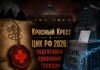 Красный Крест и ЦИК РФ 2026: подготовка признания граждан недееспособными цик рф