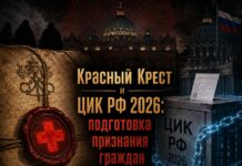 Красный Крест и ЦИК РФ 2026: подготовка признания граждан недееспособными цик рф