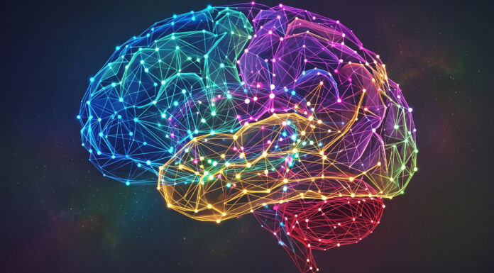 New theory: consciousness may have emerged to solve problems beyond the reach of pure intelligence