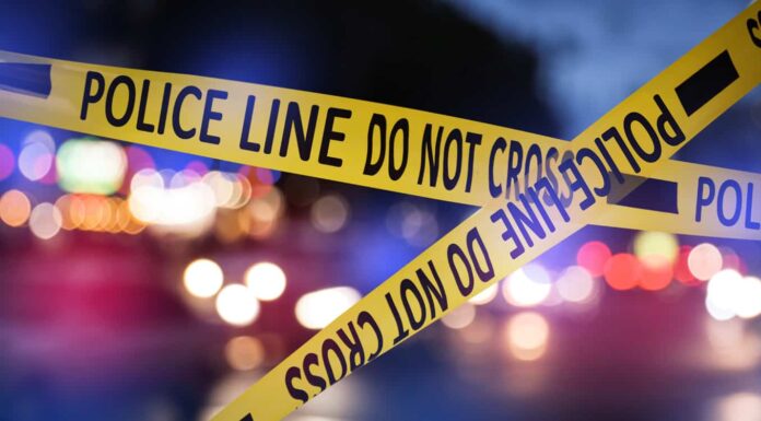 Crime videos push liberal voters towards stricter laws but do not change their ideology