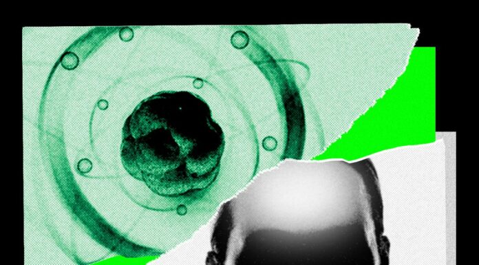 AI moves beyond mathematics: theoretical physics and economics face the threat of automation